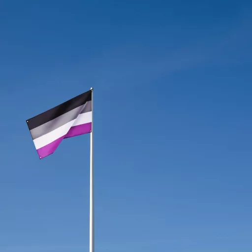 Runesol Aszexuális Zászló 91x152cm - LGBTQ+ Pride Zászló 4 Fém Fűzőkarikával, Időjárásálló, UV-Ellenálló, Kültéri-Beltéri Használatra, Élénk