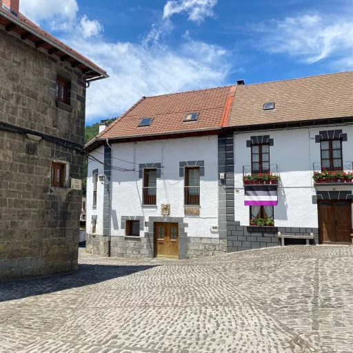 Runesol Aszexuális Zászló 91x152cm - LGBTQ+ Pride Zászló 4 Fém Fűzőkarikával, Időjárásálló, UV-Ellenálló, Kültéri-Beltéri Használatra, Élénk