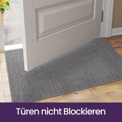DEXI Szennyeződésfogó Lábtörlő 61x92cm, Csúszásmentes Bejárati Szőnyeg Mosható