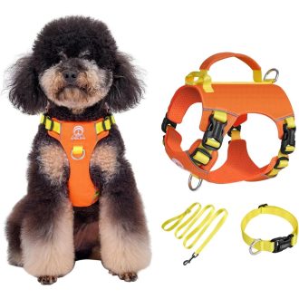   Kaleido set opreme za pse XXS veličine - Lagana oprsnica, ogrlica i povodac za patuljaste pse, narančasta, s reflektirajućom trakom i ručkom