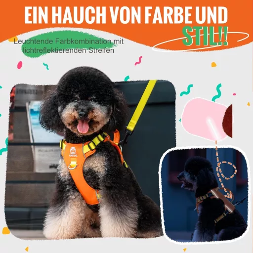 Kaleido set opreme za pse XXS veličine - Lagana oprsnica, ogrlica i povodac za patuljaste pse, narančasta, s reflektirajućom trakom i ručkom