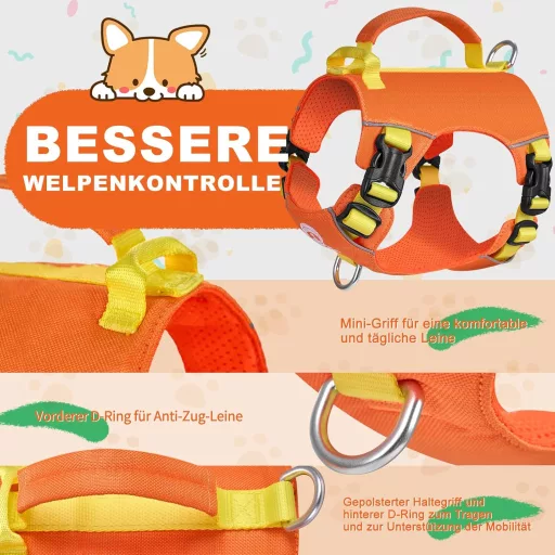 Kaleido Kutyahám Szett XXS Méretben - Könnyű Hám, Nyakörv és Póráz Törpe Kutyáknak, Narancssárga, Fényvisszaverő Csíkkal és Fogantyúval