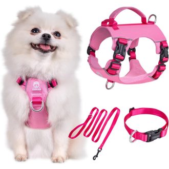   Kaleido Set za pse XS - Lagana oprsnica, ogrlica i povodac za male pse, s ručkom i reflektirajućom trakom, roza