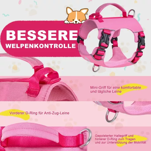 Kaleido Set za pse XS - Lagana oprsnica, ogrlica i povodac za male pse, s ručkom i reflektirajućom trakom, roza