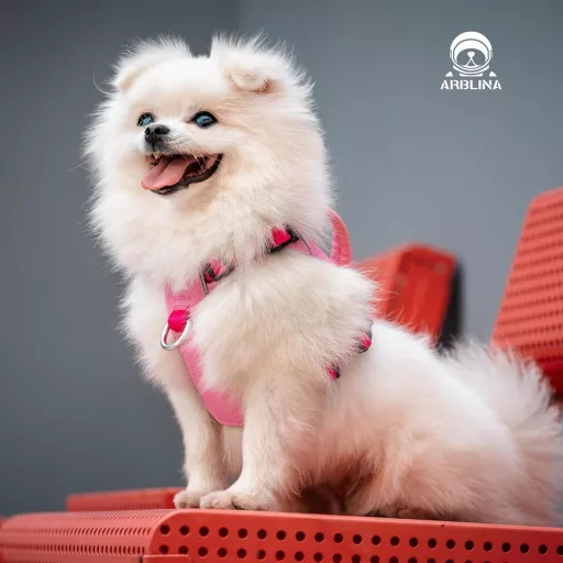 Kaleido Set za pse XS - Lagana oprsnica, ogrlica i povodac za male pse, s ručkom i reflektirajućom trakom, roza