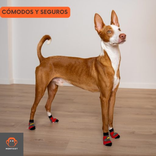 MONYICOT 4 komada Protuklizne čarape za pse i mačke Unutarnje Vanjske M veličina