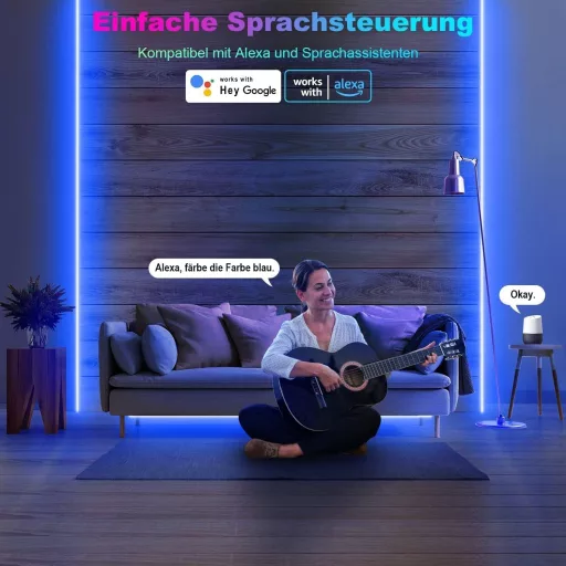 Bandă LED RGB TENDIST 40m de Exterior IP67 Impermeabilă, Compatibilă cu Alexa, Iluminare LED 24V pentru Balcon, Terasă, Sărbători, cu Telecomandă (2x20m)