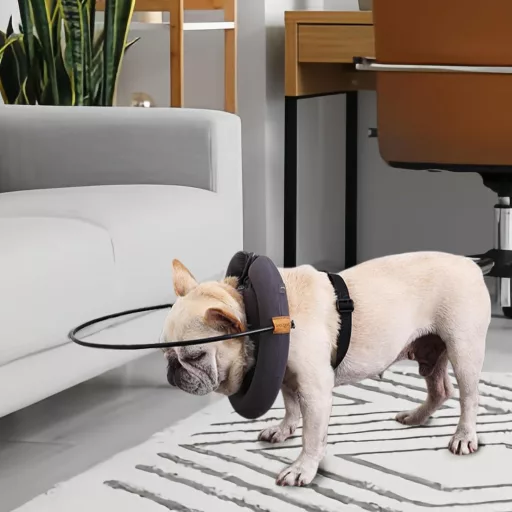 AYLIORUY Vak Kutya Halo Nyakörv Ütközésvédő Vezetőhám Extra Large Macskáknak és Kutyáknak