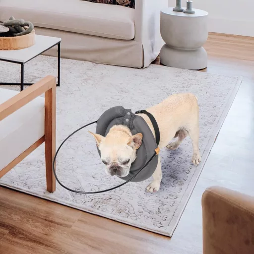 AYLIORUY Vak Kutya Halo Nyakörv Ütközésvédő Vezetőhám Extra Large Macskáknak és Kutyáknak