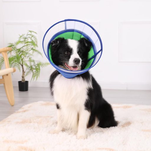 ICOYEA Mekana Ogrlica za Pse Plava L - Prozračna, Podesiva, Lagana Zaštitna Ogrlica za Pse