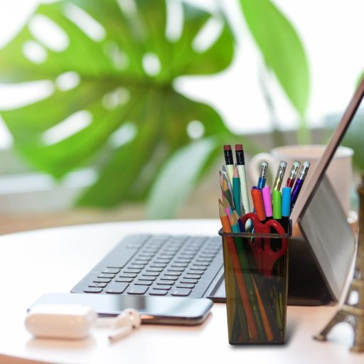 ANIMALPLAST Set Suport Acrilic pentru Pixuri 2 bucăți - Organizator pentru Instrumente de Scris și Pensule de Machiaj, Organizator de Birou pentru Acasă, Școală, Loc de Muncă (Maro)