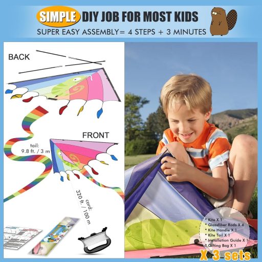 Šarkan RICESTKCN pre deti a dospelých, veľký delta šarkan pre začiatočníkov, s farebným chvostom a 325 metrami šnúry