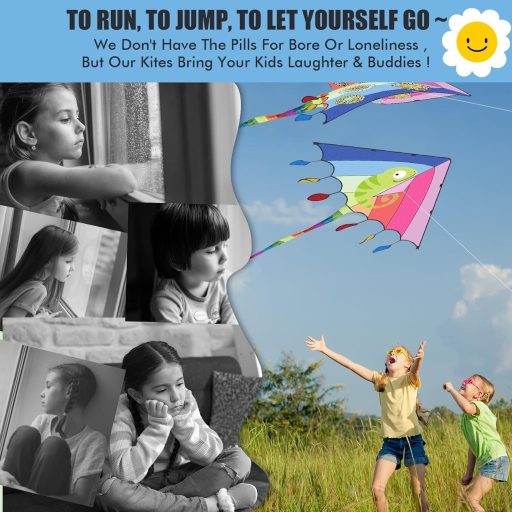 Šarkan RICESTKCN pre deti a dospelých, veľký delta šarkan pre začiatočníkov, s farebným chvostom a 325 metrami šnúry