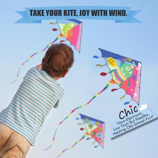 Šarkan RICESTKCN pre deti a dospelých, veľký delta šarkan pre začiatočníkov, s farebným chvostom a 325 metrami šnúry