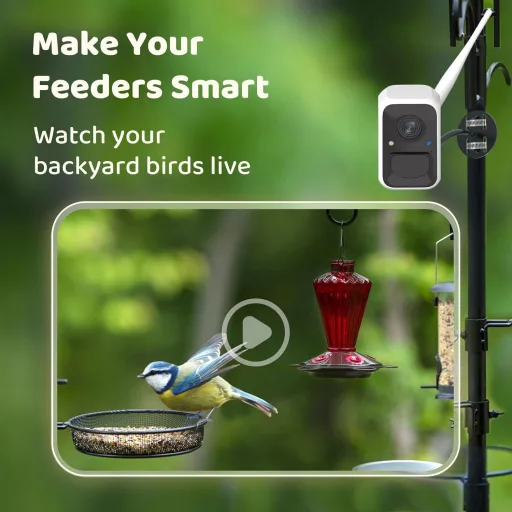 NETVUE Birdfy Intelligens Madárkamera Napelem és Állítható Állvánnyal