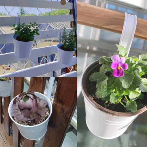 KINGLAKE 10 buc. ghivece metalice verticale de flori 16 cm albe, cu suport de agățat