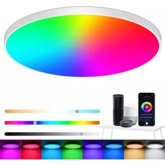   Eregou LED Mennyezeti Lámpa Dimmelhető 24W RGB Okos Alexa Google Home
