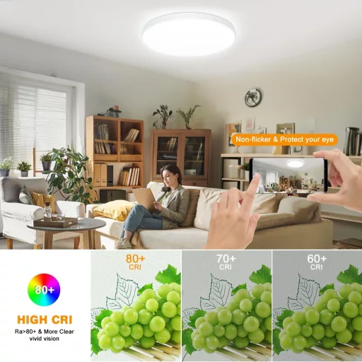 Eregou LED Mennyezeti Lámpa Dimmelhető 24W RGB Okos Alexa Google Home