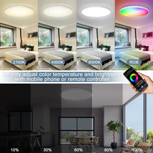 Plafonieră LED Eregou, 24W, RGB, reglabilă, inteligentă, compatibilă cu Alexa și Google Home