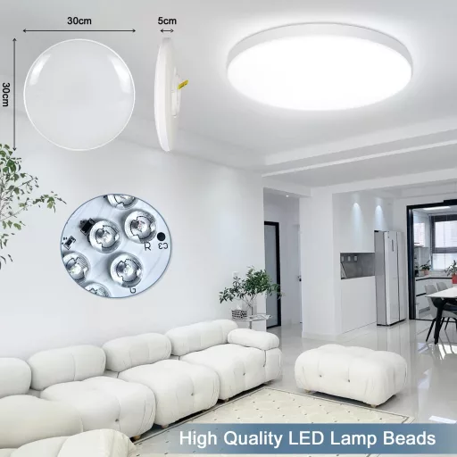 Plafonieră LED Eregou, 24W, RGB, reglabilă, inteligentă, compatibilă cu Alexa și Google Home