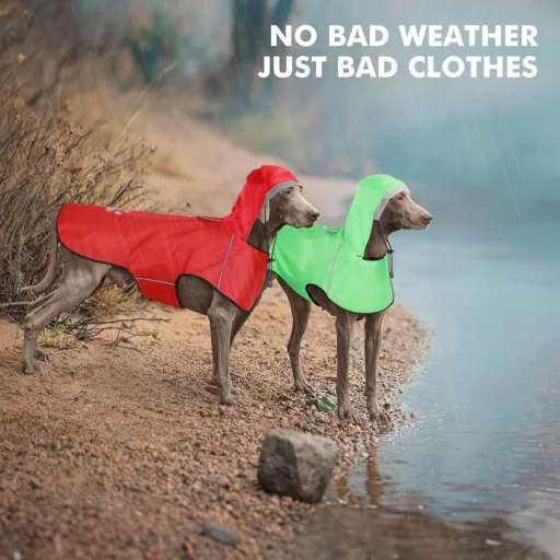 Nepremokavý pršiplášť pre psov BiPawTi, stredná veľkosť – reflexný pršiplášť s kapucňou, červený