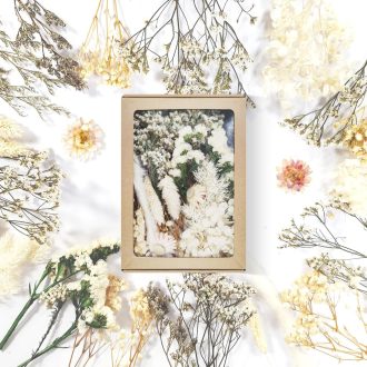   Dog's Booty Szárított Virágok Fehér DIY Dekorációhoz Gyertyához Scrapbooking