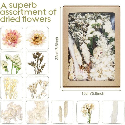 Dog's Booty Szárított Virágok Fehér DIY Dekorációhoz Gyertyához Scrapbooking