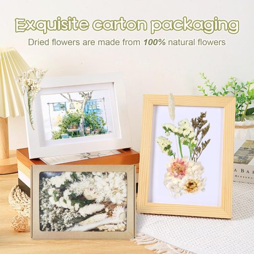 Dog's Booty Szárított Virágok Fehér DIY Dekorációhoz Gyertyához Scrapbooking