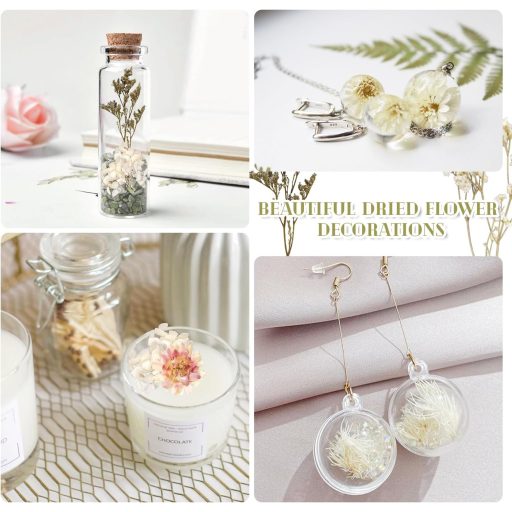 Dog's Booty Szárított Virágok Fehér DIY Dekorációhoz Gyertyához Scrapbooking