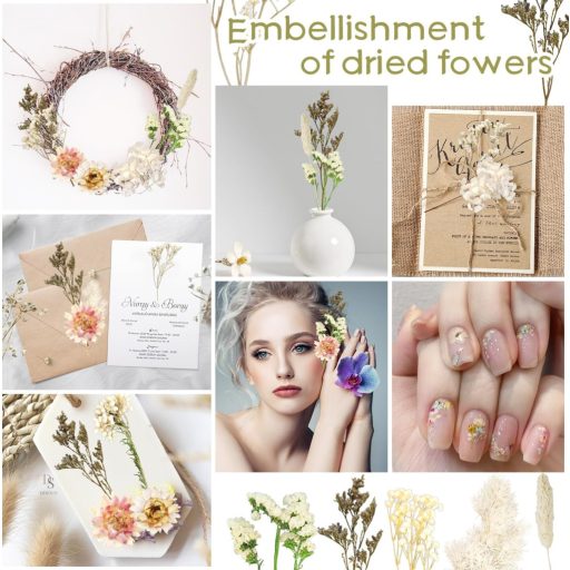 Dog's Booty Szárított Virágok Fehér DIY Dekorációhoz Gyertyához Scrapbooking