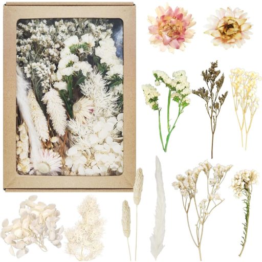 Dog's Booty Szárított Virágok Fehér DIY Dekorációhoz Gyertyához Scrapbooking