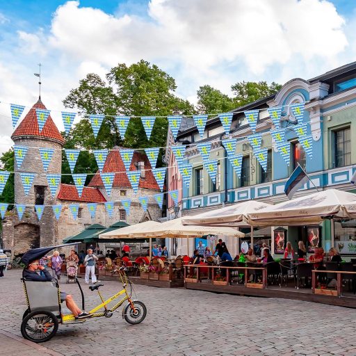 NEBURORA 10m Oktoberfest Dekoratív Zászlófüzér Bajor Díszítés Sárga Oroszlán