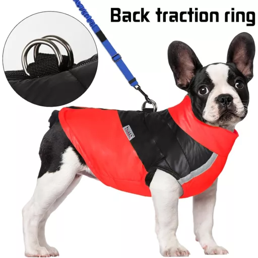 YOUYIKE Teplý psí kabát, nepremokavé zimné oblečenie pre psov, červené, XL