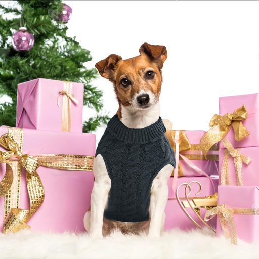 YOUYIKE Vízálló Kutya Kabát - Meleg Téli Kutyaruha Kistestű és Közepes Kutyáknak, Szürke Színben, M-es Méret