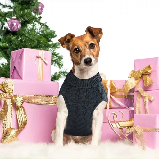 YOUYIKE Psí kabát nepremokavý zimný zateplený oblečenie pre psov malé stredné šedý XL