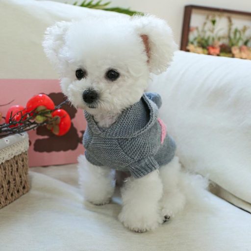 PetSmiler Kutyapulóver Kapucnival - Kötött Téli Ruha Kis Kutyáknak Chihuahua 1,5-10 kg Világosszürke M Méret