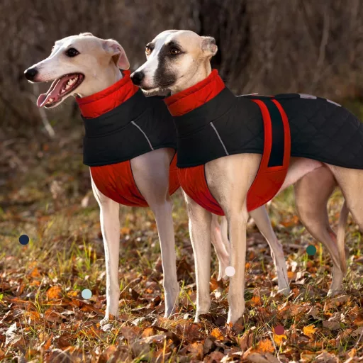 PUMYPOREITY Greyhound Téli Kabát XXXL Vízálló Polár Kutyaruha Piros