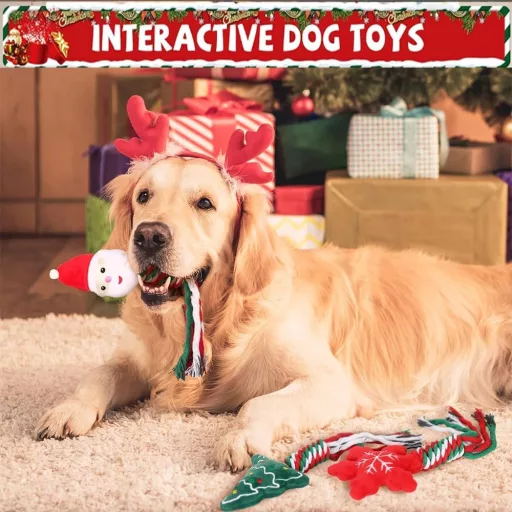 FaJoek Božićni Set Igračaka za Pse - 4 Piskutave Igračke za Žvakanje za Male i Srednje Pse, u Crveno-Zeleno-Bijelim Bojama