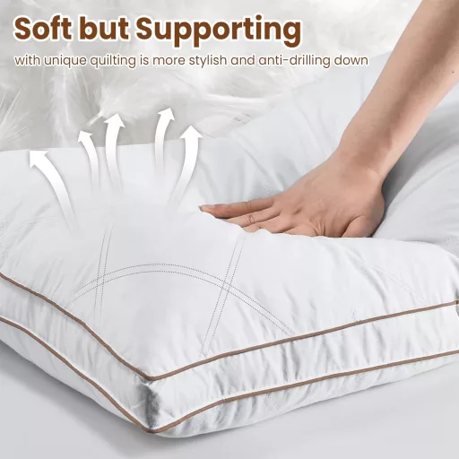 Deodar 2 kom Jorgan Jastuk 46x66 cm, Punjenje od guščjeg perja, 100% Pamuk, Hipolergeno