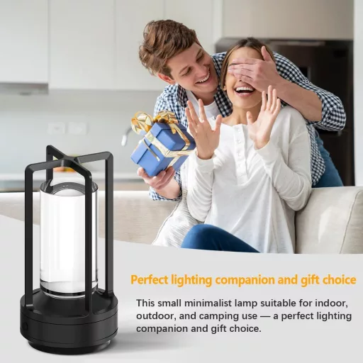 Set 2 lămpi de birou LED Hapfish, cu încărcare wireless, dimabile și rezistente la apă