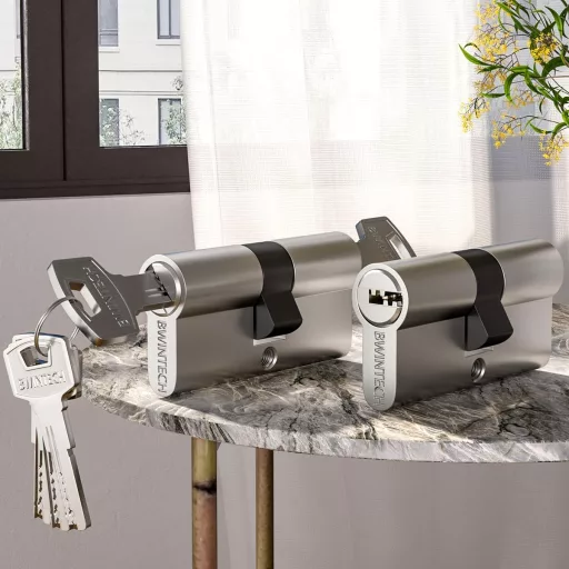 Bwintech Cilindru Euro 70mm Nichel-Zinc, Broască Ușă cu 8 Chei Crestate