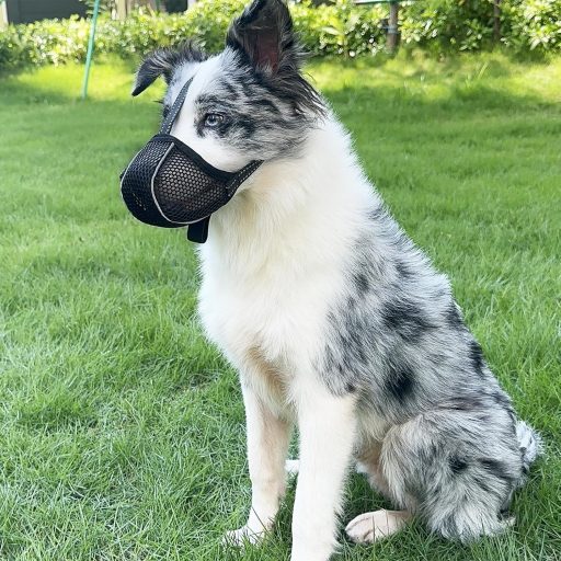 Diketone Kutyaszájkosár XL Nagyobb Kutyáknak, Légáteresztő Reflektív Állítható Fekete