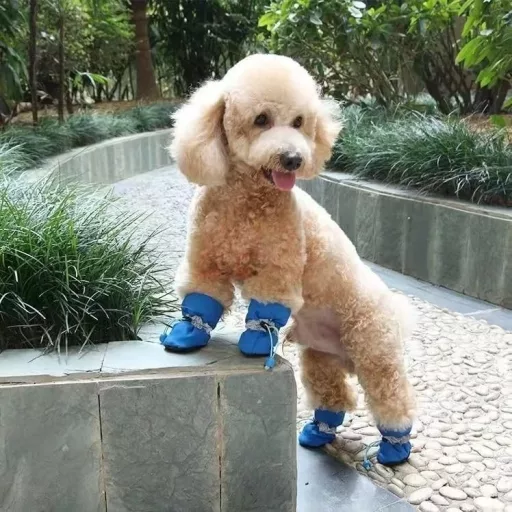 FaJoek Vízálló Kutyacipő 4 db Reflektív Szíjjal Kék #5 Kicsi Kutyáknak