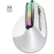NEWWAY A9 Ergonomikus Vezeték Nélküli Egér - 2.4GHz WiFi, USB-C, RGB, 2400 DPI