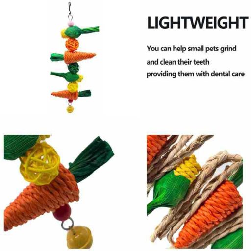 GNAUMORE Jucărie comestibilă pentru rozătoare, iepuri, cobai, hamsteri - Glob de fân și morcov, suspendabile