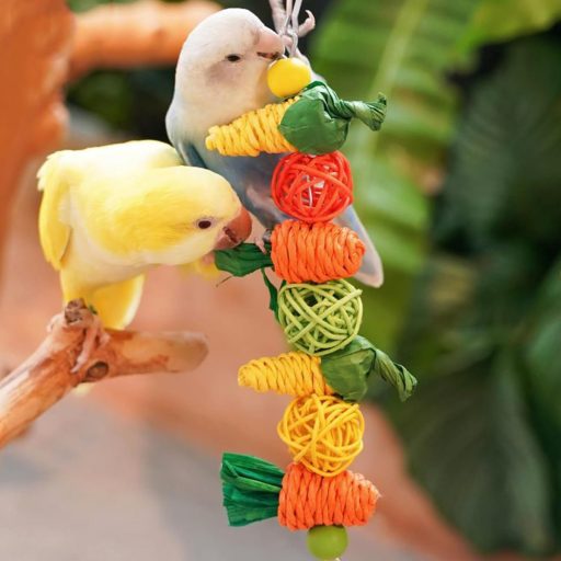 GNAUMORE Rágcsálnivaló Játék Nyúlnak, Tengerimalacnak, Hörcsögnek - Függeszthető Fűgömb és Sárgarépa