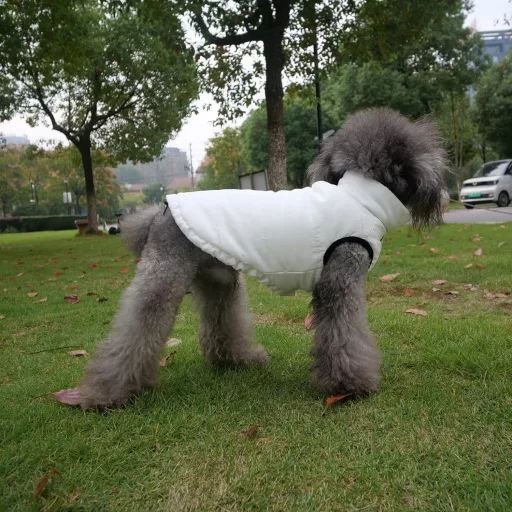 Lovelonglong Vízálló Téli Kutyamellény Fleece Béléssel - Gomb Stílusú Kutyakabát Krém M