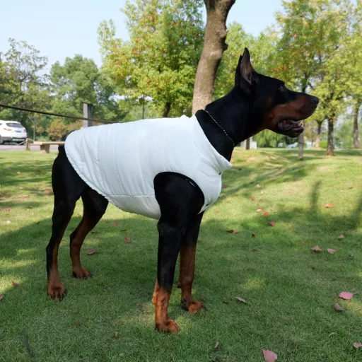 Lovelonglong Vízálló Téli Kutyamellény Fleece Béléssel - Gomb Stílusú Kutyakabát Krém M