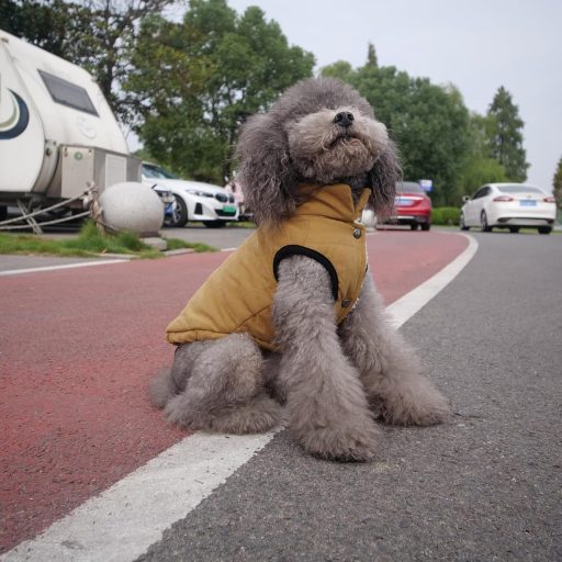 Lovelonglong Vízálló Téli Kutyamellény Fleece Béléssel Gombos Kávé 2XL