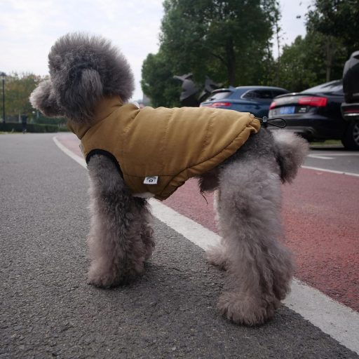 Vestă impermeabilă de iarnă pentru câini Lovelonglong, căptușită cu fleece, cu nasturi, maro cafea, 2XL